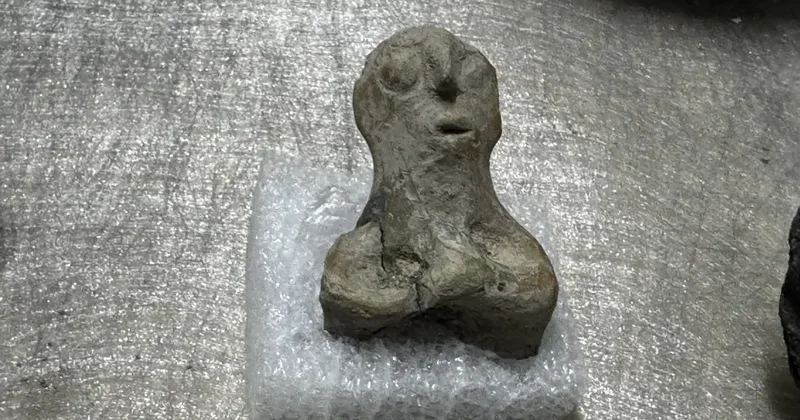 7 Min 500 İldən sonra torpağın altından çıxarıldı: Daha əvvəl oxşarına rast gəlinməyib FOTO