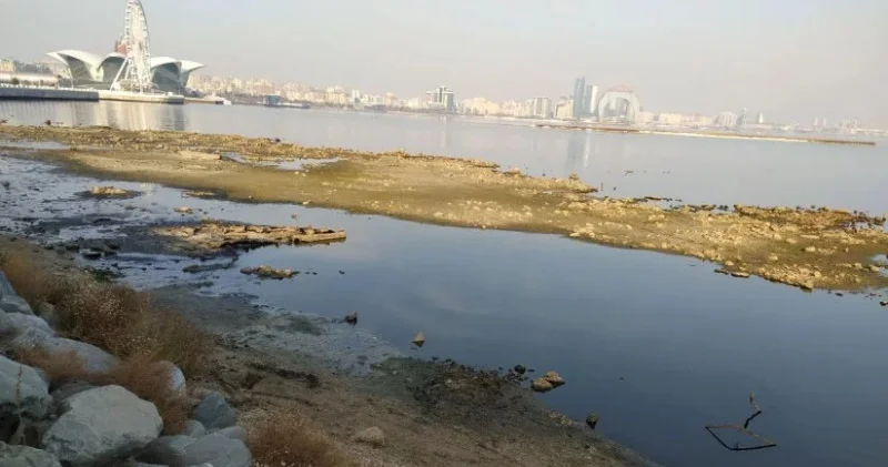 Xəzərin suyu niyə çəkilir? SƏBƏBLƏR AÇIQLANDI