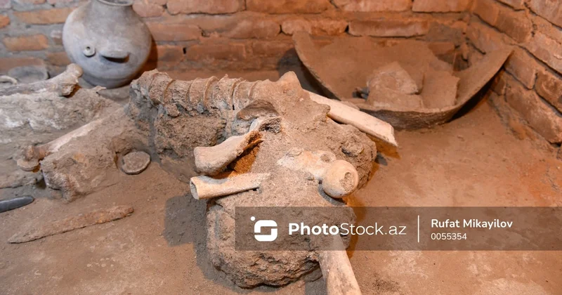 Ötən il Qarabağda hansı tədqiqat işləri aparılıb?