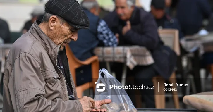 В этом году средняя пенсия в Азербайджане достигнет 590 манатов депутат