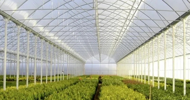 Aqrar fəaliyyətlə məşğul olan obyektlərin tikintisi üçün icazə tələbi təsdiq edildi