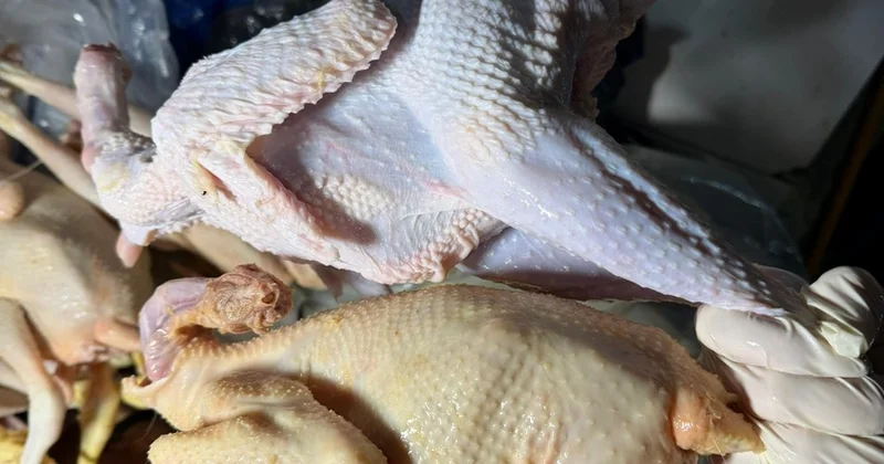 АПБА: В Хырдалане куриные тушки окрасили тартразином