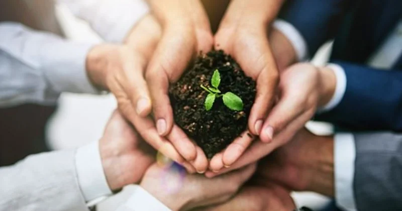 Политика Алиева в жизни, а не на бумаге правительственная трибуна