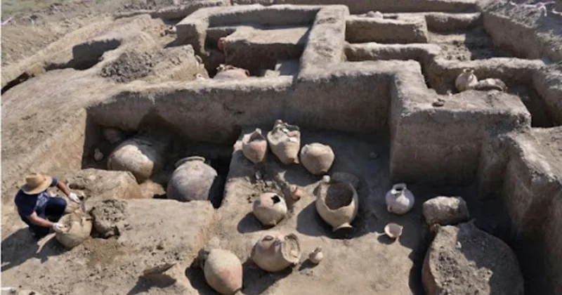 Ötən il ölkəmizdə neçə ekspedisiya keçirilib?