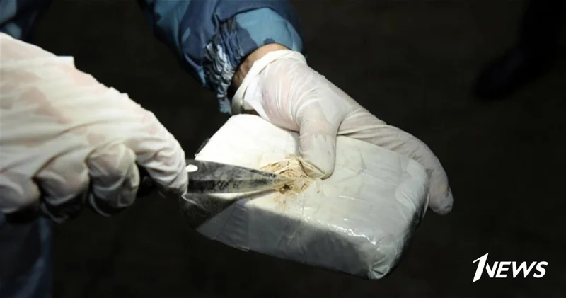 В Азербайджане изъято из оборота более 300 кг наркотиков