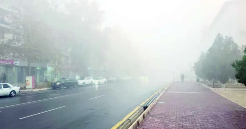 Yağmursuz və dumanlı qış günü