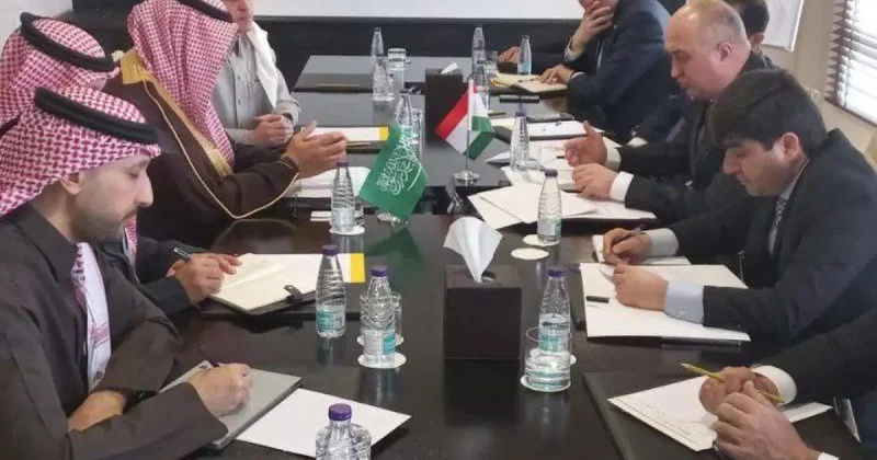 Душанбе и Эр Рияд будут сотрудничать в энергетике, промышленности и сельхозсекторе