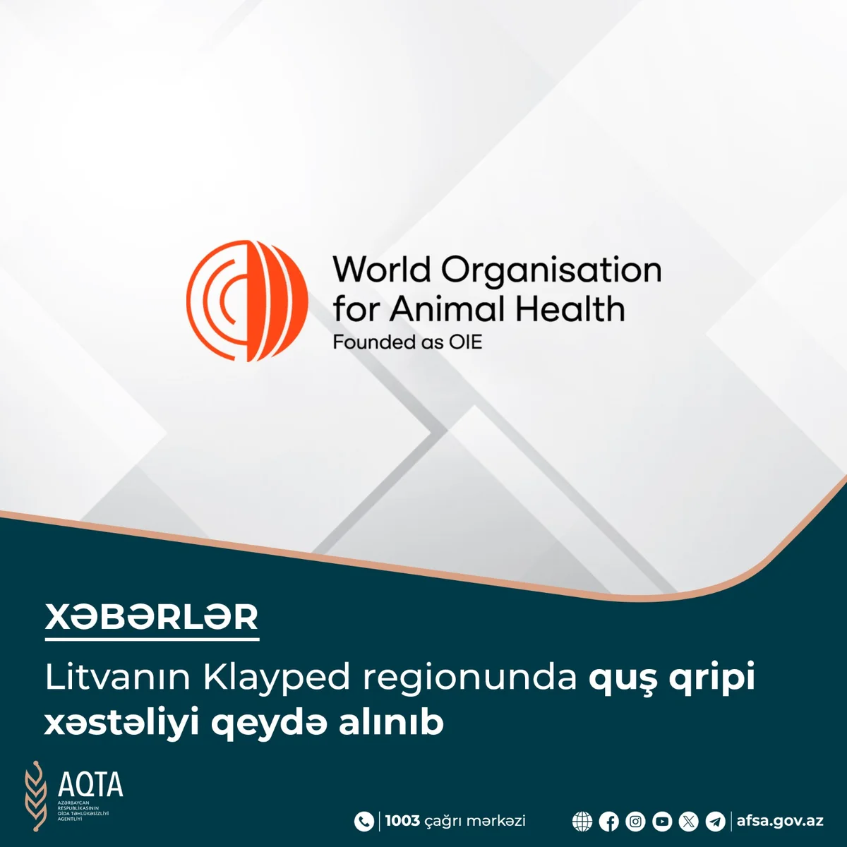 Litvanın Klayped regionunda quş qripi xəstəliyi qeydə alınıb