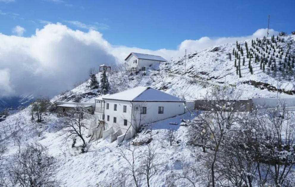 Laçının Zabux kəndi ağ örpəyə büründü