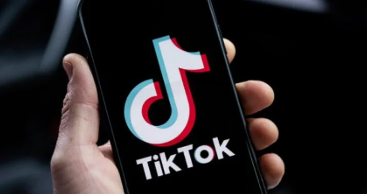 Albaniyada TikTok 1 il müddətinə qadağan edildi