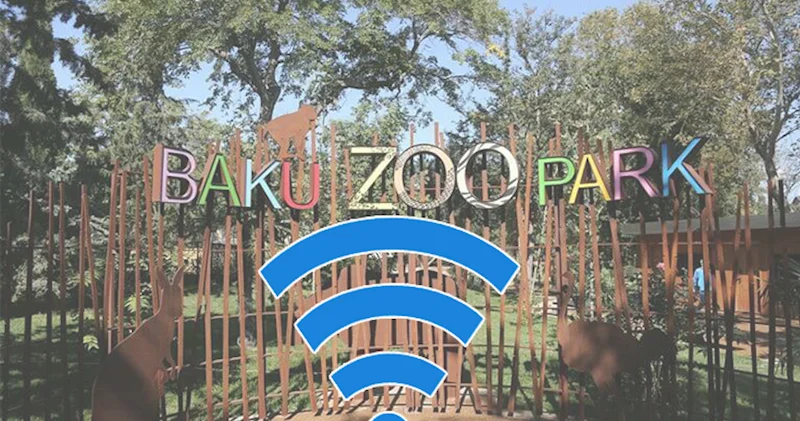 “Bakı Zooparkı” internet üçün hər ay 960 manat ödəyəcək