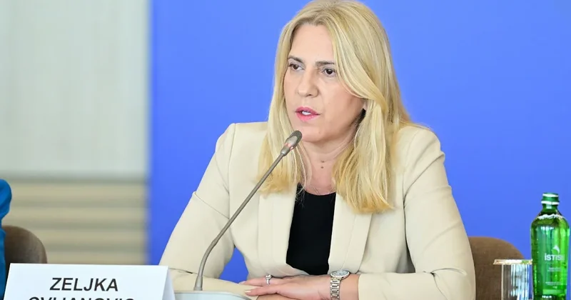 Желька Цвиянович: С нетерпением жду предстоящего визита в Баку