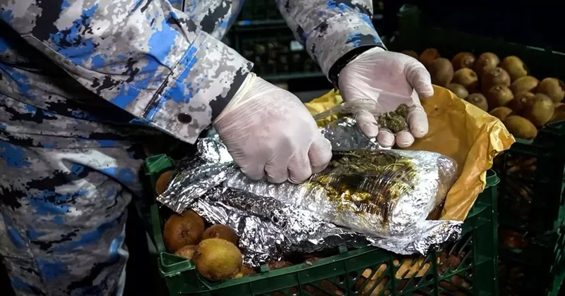 Азербайджанские таможенники изъяли наркотики в особо крупном размере: ВИДЕО