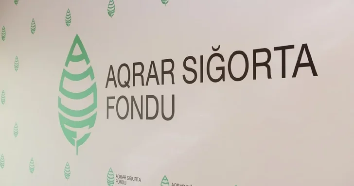 Фонд аграрного страхования Азербайджана подсчитывает убытки от проливных дождей