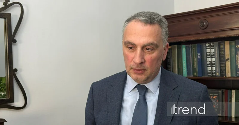 Грузино азербайджанские отношения всегда были осью стабильности, мира Виктор Кипиани