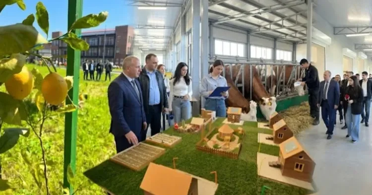 Bu ixtisasları öyrənənlər işsiz qalmır Lənkəran və Cəlilabad peşə mərkəzlərindən REPORTAJ