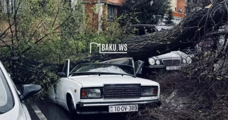 Bakıda ağac avtomobilin üstünə aşdı FOTOLAR