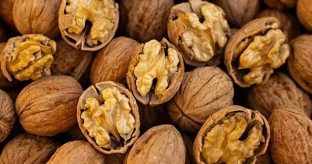 Qoz hansı xəstəliyin riskini azaldır? Həkim açıqladı