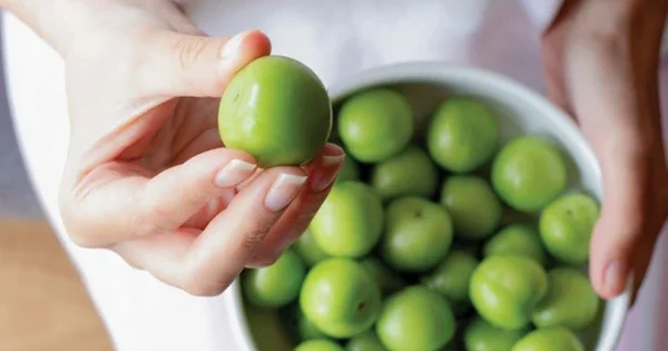 Alçanı duzlayıb yeyənlərə vacib xəbərdarlıq