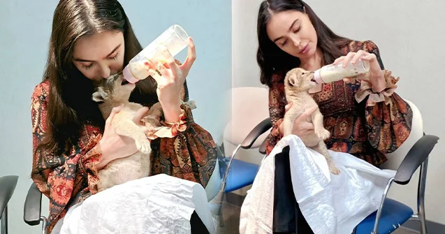 Leyla Əliyevanın şir balası ilə maraqlı Görüntüləri