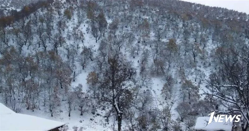 Фактическая погода: В Шахдаге снегопад, в Гядабее град