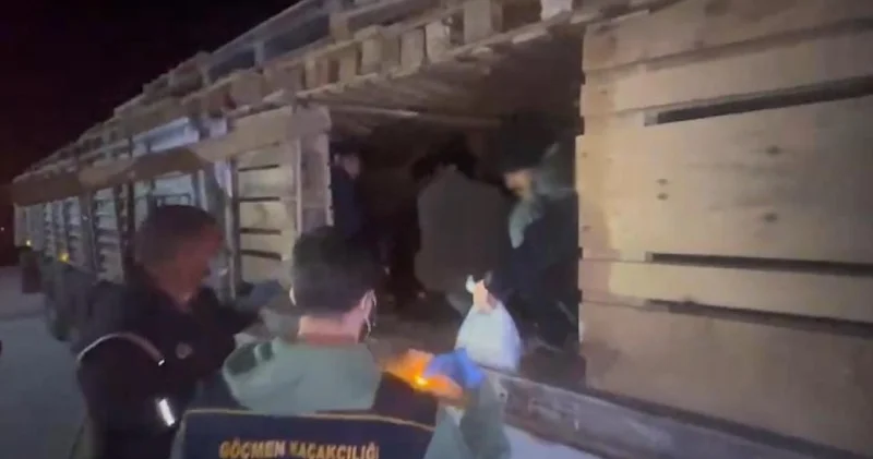 Qeyri qanuni mühacirlər saxlanıldı