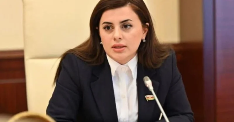 Ermənistanın dağ mədən müəssisələrinin qapılarını, Azərbaycan ekoloqları da daxil olmaqla, beynəlxalq monitorinq qrupuna açmalıdır