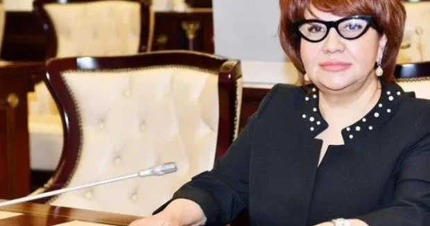 Azərbaycan öz gücü hesabına bu işin də öhdəsindən gəlməyi bacarır Afət Həsənova