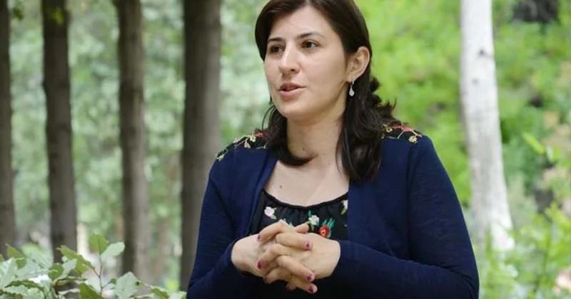 Bu gün doğum günümdür, borclarımı düşünürəm Sevinc Elsevər