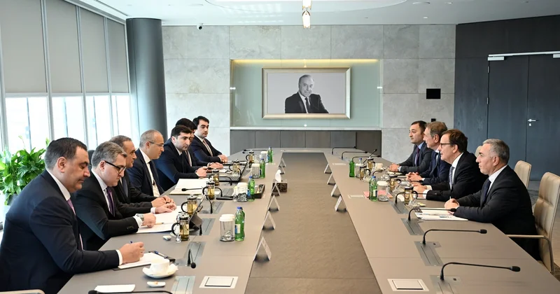 Mikayıl Cabbarov Eddi Pirard ilə görüşüb