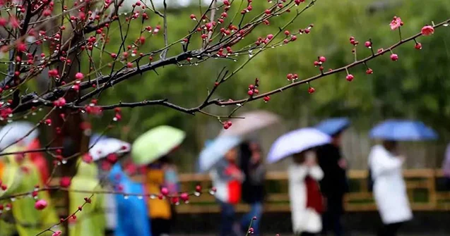 Yağıntı nə vaxt dayanacaq? PROQNOZ