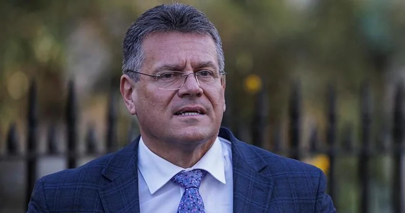 Şefçoviç: ABŞ 2025 ci ildə Aİ mallarından 100 milyard gömrük rüsumu əldə edəcək