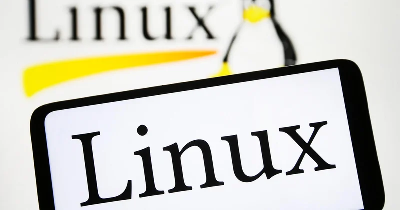 Новый вирус приводит к полной утрате данных на устройствах с Linux