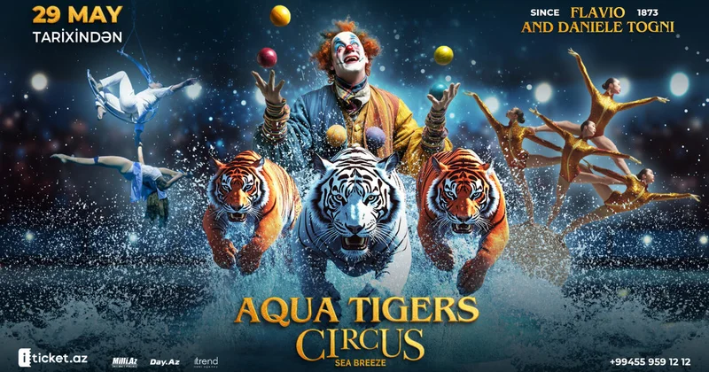 “Su və Pələnglər Sirki” Circus Sea Breeze səhnəsində bu yay Bakının ən möhtəşəm sirk hadisəsi!
