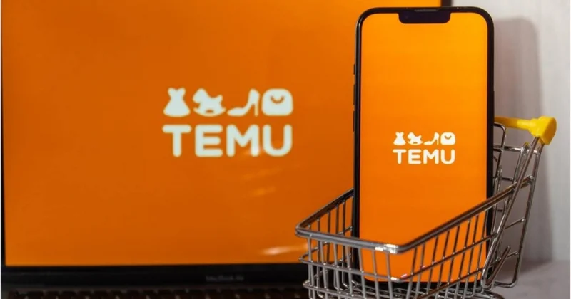 Temudan necə pul qazanmaq olar?