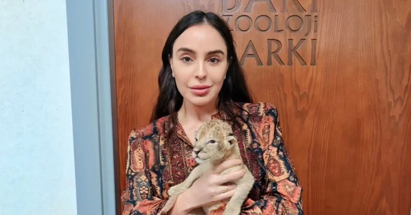 Leyla Əliyeva zooparkda yeni dünyaya gələn şir balası ilə görüntülərini paylaşdı