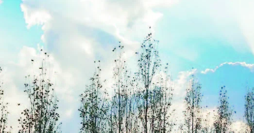 Yağış, külək və duman...