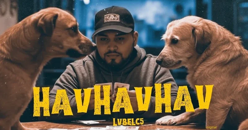 Havhav oxuyan reper saxlanıldı