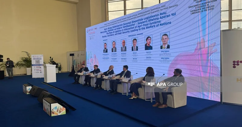 Nazir müavini: Azərbaycan Orta dəhlizin inkişafına xüsusi diqqət yetirir