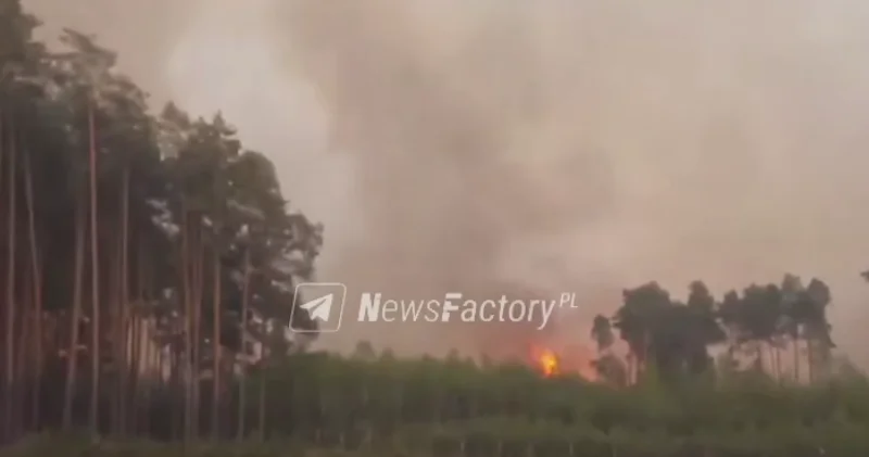 В Польше бушует лесной пожар ВИДЕО