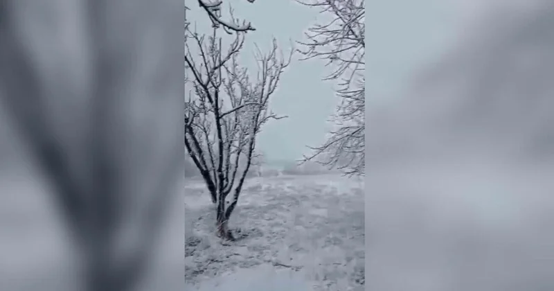В Армении выпал снег ВИДЕО