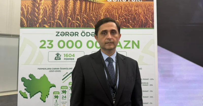Fuad Sadıqov: Sığorta məbləğinin ödənilməsinin dərhal tənzimlənməsi mümkün deyil