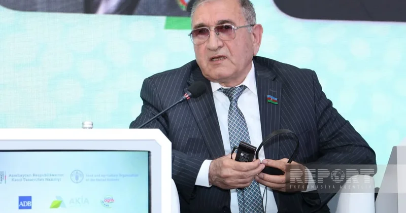 Tahir Rzayev: Dövlətin bazara müdaxiləsi ciddi problemlər yarada bilər