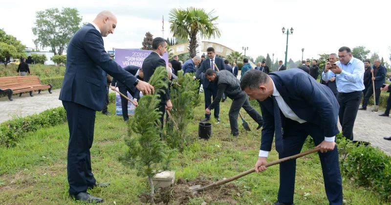 Tərtərdə keçirilən ağacəkmə aksiyasında 200 ədəd Eldar şamı əkilib