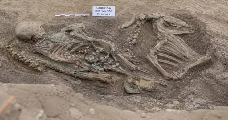 Yol tikintisi zamanı qızılla dolu məzar tapıldı Qədim türk dövlətinə aiddir