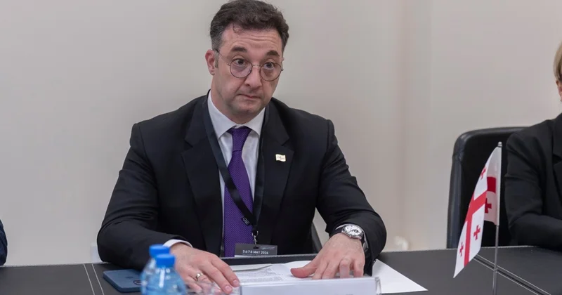 Gürcü nazir: Regional ərzaq təhlükəsizliyi üçün Orta dəhlizin rolu çox vacibdir