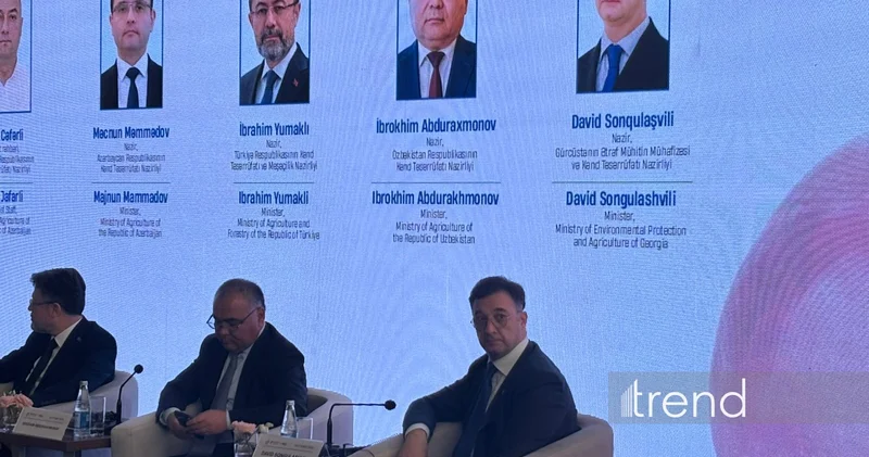 Обеспечение продовольственной безопасности требует укрепления сотрудничества вдоль Среднего коридора Давид Сонгулашвили