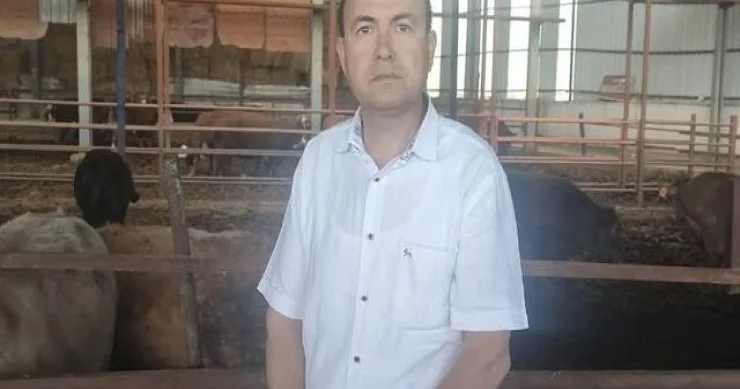 Qurbanlıq dana onu satan sahibini öldürdü İNANILMAZ OLAY
