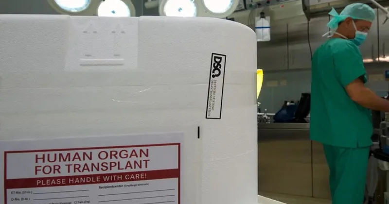 Almaniyada orqan donorluğu ilə bağlı yeni təşəbbüs irəli sürülüb