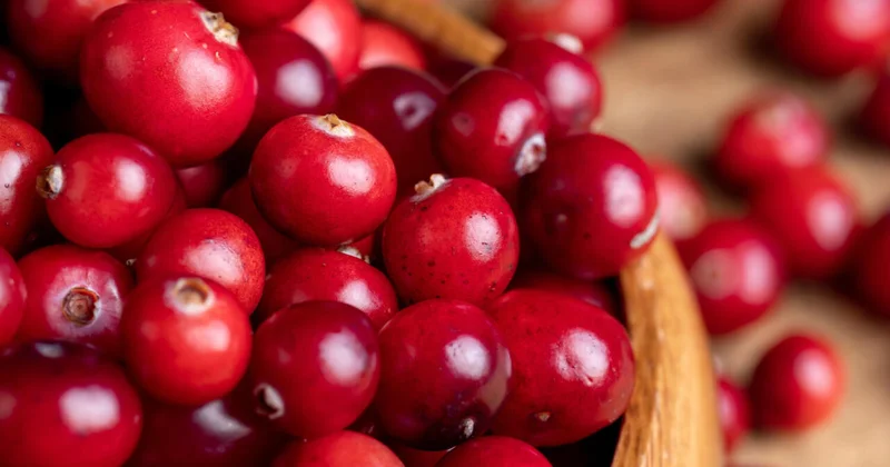 Эти продукты и напитки замедляют старение